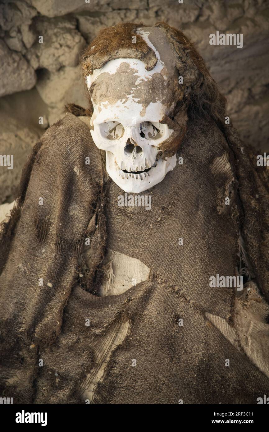 Mummia di Nazca al cimitero di Chauchilla vicino Nazca (Perù) Foto Stock