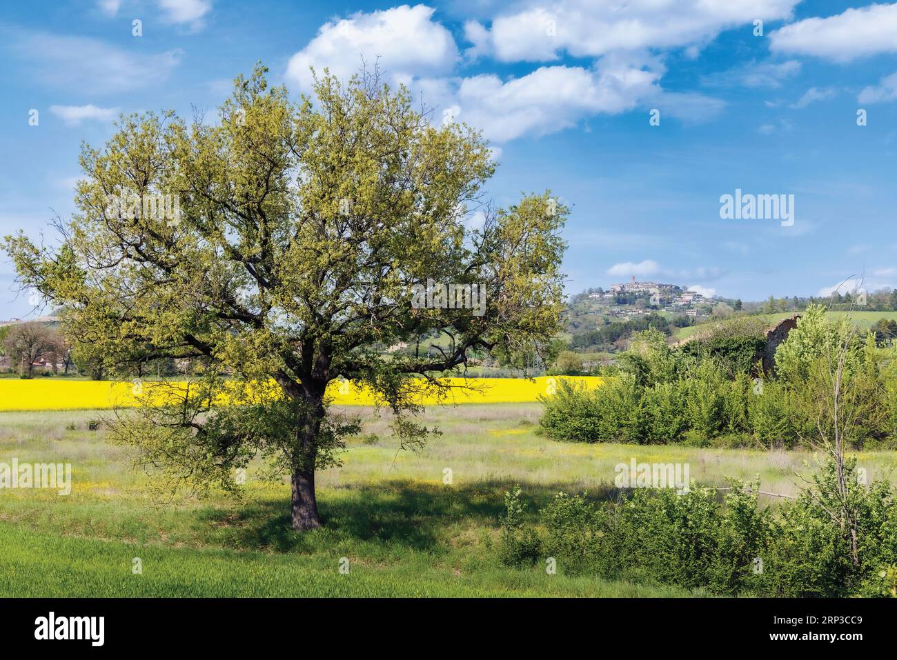 Paesaggio umbro, vicino a Perugia, provincia di Perugia, Italia. Il paese sullo sfondo è Civitella Benazzone. Foto Stock