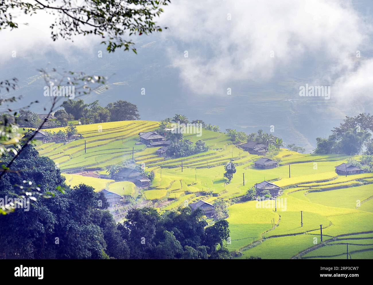 (181001) -- ha GIANG, 1 ottobre 2018 -- risaie terrazzate si vedono durante la stagione del raccolto nel distretto di Hoang su Phi nella provincia di ha Giang, Vietnam, il 29 settembre 2018. Situato ad un'altitudine di circa 1.500 metri sopra il livello del mare, il magnifico campo di riso terrazzato di Hoang su Phi è stato riconosciuto come la reliquia nazionale del Vietnam nel 2012. (lrz) VIETNAM-ha GIANG-TERRAZZA-SCENARIO NgoxMinhxTien PUBLICATIONxNOTxINxCHN Foto Stock