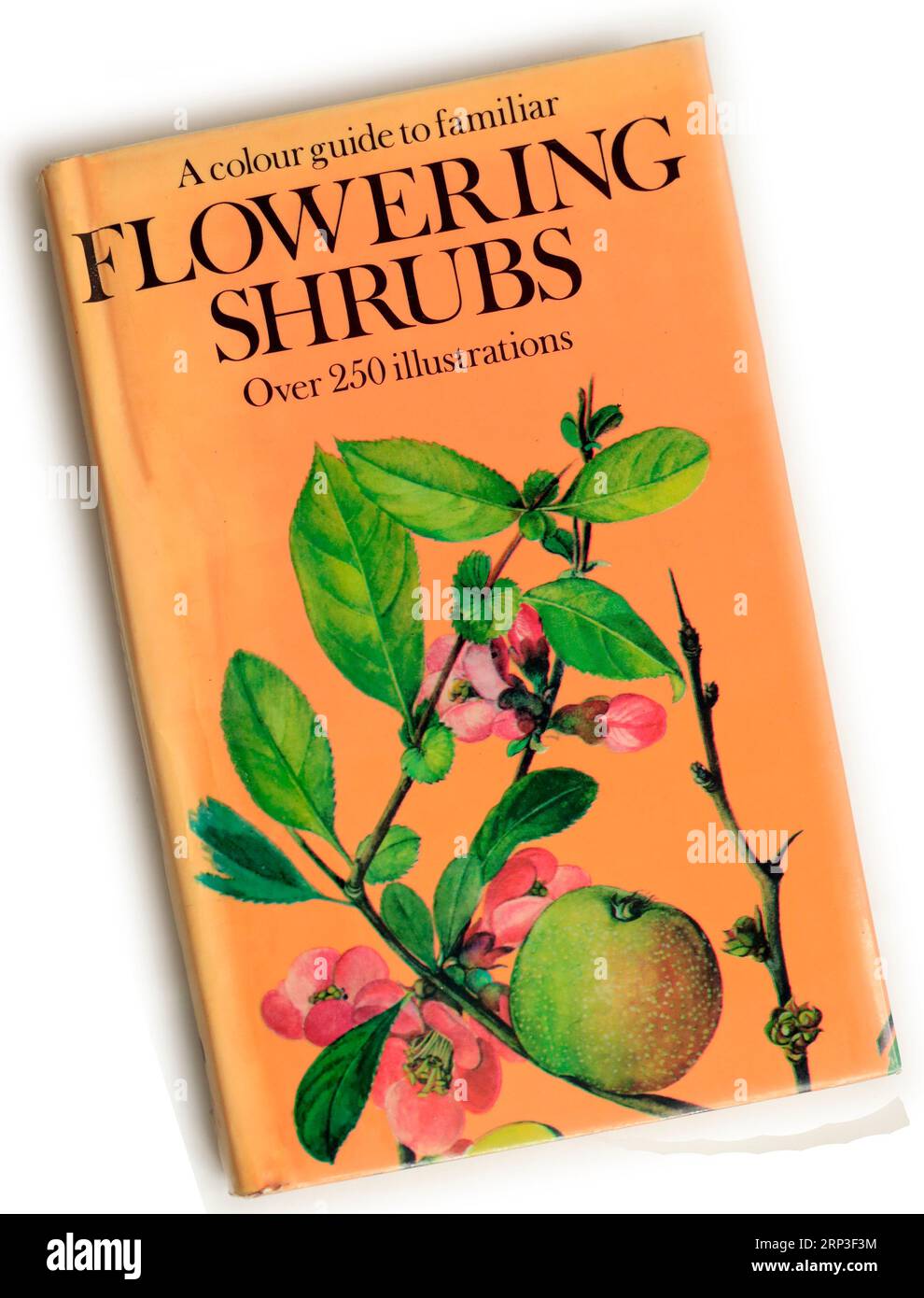Una guida a colori alla copertina del libro di Flowering Shrubs. Configurazione studio. Foto Stock