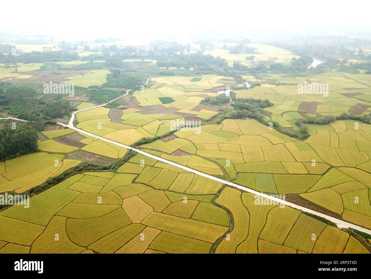 (181016) -- GUILIN, 16 ottobre 2018 -- foto aerea scattata il 16 ottobre 2018 mostra lo scenario autunnale del villaggio di Chongshan di Guilin, nella regione autonoma Guangxi Zhuang della Cina meridionale. ) (Zyd) CINA-GUANGXI-AUTUNNO-SCENARIO (CN) ZhouxHua PUBLICATIONxNOTxINxCHN Foto Stock