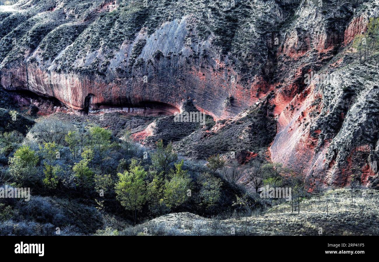 (181022) -- YAN AN, 22 ottobre 2018 -- la foto scattata il 21 ottobre 2018 mostra una vista della Danxia Landform a Wangjiawan della città di Pingqiao nel distretto di Ansai di Yan An, nella provincia dello Shaanxi della Cina nordoccidentale. Danxia landform è un tipo unico di geomorfologia formata da arenarie di colore rosso e caratterizzata da ripide scogliere. Yxb) CHINA-SHAANXI-WANGJIAWAN-DANXIA LANDFORM(CN) TaoxMing PUBLICATIONxNOTxINxCHN Foto Stock