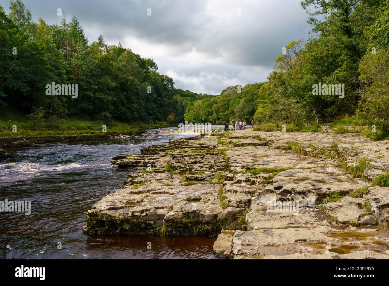 Aysgarth Falls nel North Yorkshire, dove è stato registrato Robin Hood Film Foto Stock