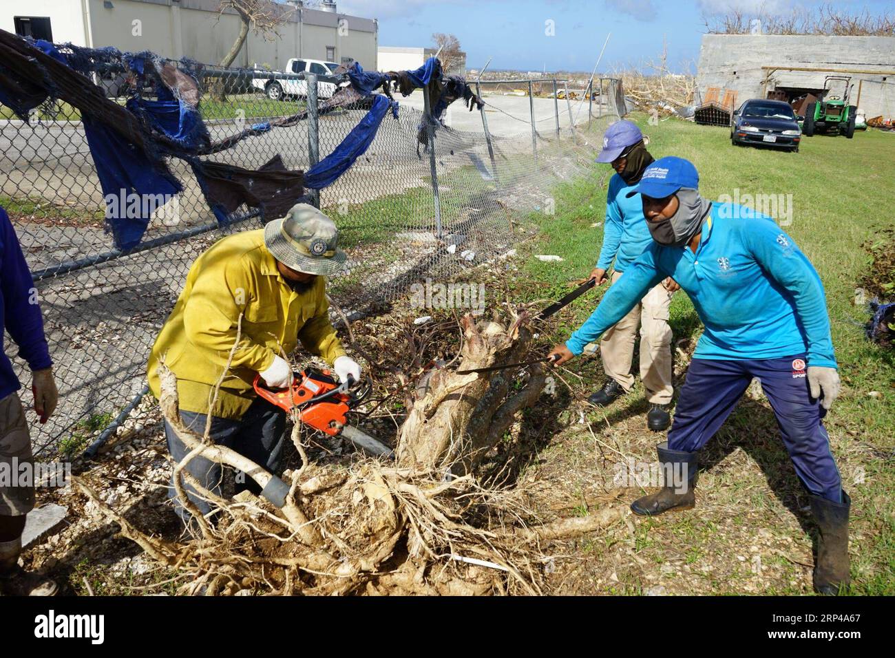(181101) - SAIPAN, 1 novembre 2018 -- i lavoratori puliscono gli alberi caduti a Saipan, il Commonwealth delle Isole Marianne Settentrionali (CNMI), 31 ottobre 2018. Il Super Typhoon Yutu sbarcò negli Stati Uniti o nei suoi territori, sbatté il Commonwealth delle Isole Marianne Settentrionali (CNMI) e causò ingenti danni alle infrastrutture critiche. ) (Djj) ISOLE MARIANNE SETTENTRIONALI-SAIPAN-TYPHOON-RICOSTRUZIONE GaoxShan PUBLICATIONxNOTxINxCHN Foto Stock