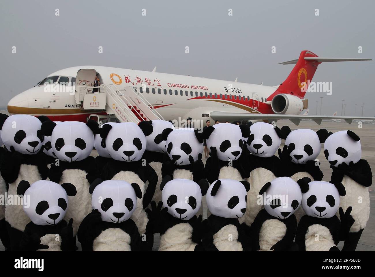 (181211) -- PECHINO, 11 dicembre 2018 -- le mascotte Panda posano per una foto davanti a Chengdu Airlines ARJ21-700 all'aeroporto internazionale Chengdu Shuangliu di Chengdu, capitale della provincia del Sichuan della Cina sud-occidentale, il 28 giugno 2016. Lunedì scorso, l'Amministrazione dell'aviazione civile cinese ha pubblicato un piano d'azione volto a rendere l'industria dell'aviazione civile cinese una delle migliori al mondo entro il 2050. Secondo il piano, dal 2021 al 2035, la Cina rafforzerà in modo globale la forza della sua industria dell'aviazione civile non solo per assumere il comando nel trasporto aereo, ma anche per avere l'aereo più competitivo del mondo Foto Stock
