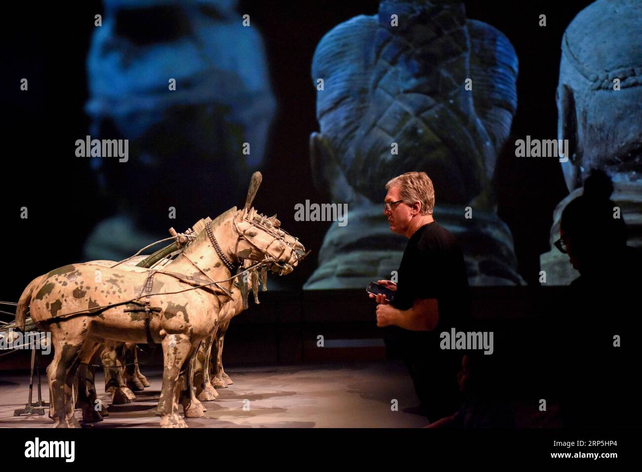 (181215) -- WELLINGTON, 15 dicembre 2018 (Xinhua) -- Un visitatore vede le mostre durante la mostra Terracotta Warriors: Custdians of Immortality presso il National Museum of New Zealand a Wellington, nuova Zelanda, il 15 dicembre 2018. La mostra storica di Terracotta Warriors: Guardians of Immortality è stata aperta al pubblico il sabato presso il National Museum of New Zealand. La mostra presenta otto guerrieri alti 180 cm e due cavalli a grandezza naturale del famoso esercito di terracotta, oltre a due carri di bronzo di mezza grandezza. Inoltre, sono in mostra più di 160 squisiti wor Foto Stock