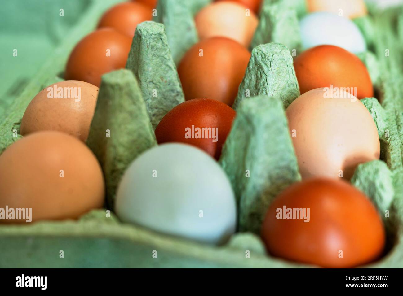 Uovo di gallina di colore pastello in scatola di carta verde, primo piano. Foto Stock