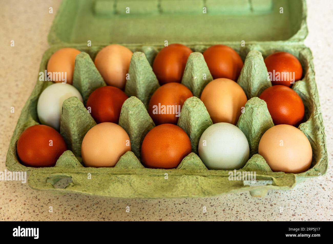 Uovo di gallina colorato in scatola verde sul tavolo beige. Foto Stock