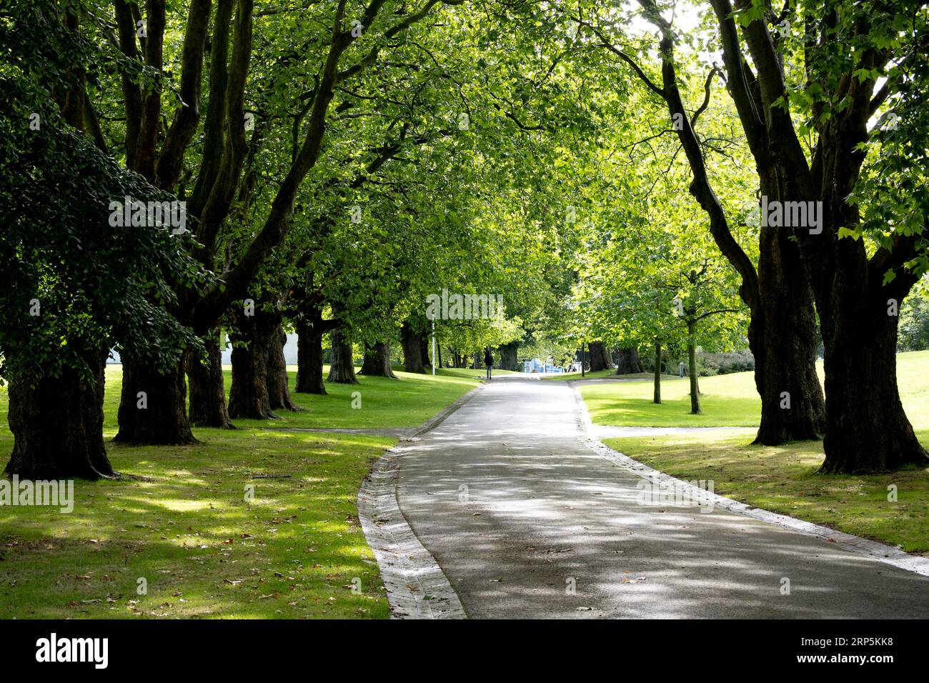 Handsworth Park, Birmingham, West Midlands, Inghilterra, Regno Unito Foto Stock