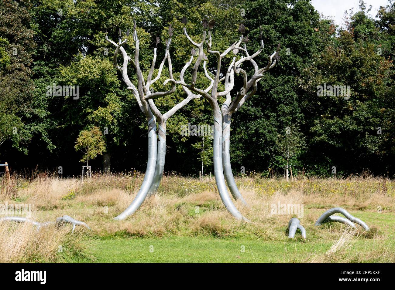 Scultura Roots and Branches, Handsworth Park, Birmingham, West Midlands, Inghilterra, REGNO UNITO Foto Stock