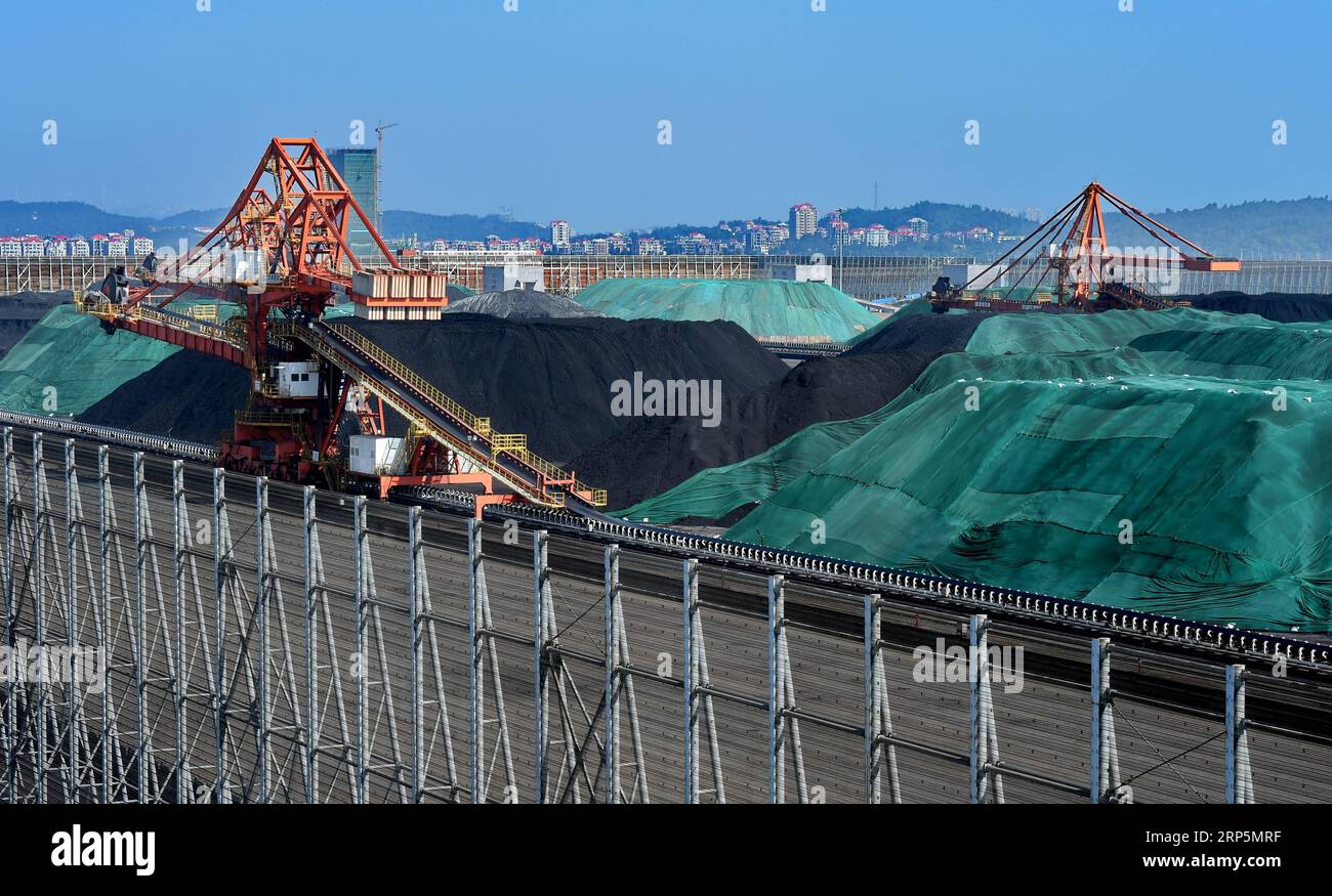 (181219) -- PUTIAN, 19 dicembre 2018 (Xinhua) -- foto scattata il 19 dicembre 2018 mostra le gru portuali che lavorano al porto di Dongwu nella città di Putian, nella provincia del Fujian della Cina sudorientale. I porti costituiscono un'importante attività economica nella città costiera di Putian, che ha 20 ormeggi che gestiscono merci sfuse trasbordo e spedizione. A partire da ottobre 2018, Putian aveva una portata di 62,66 milioni di tonnellate. (Xinhua/Zhang Guojun) CHINA-FUJIAN-PUTIAN-PORT ECONOMY (CN) PUBLICATIONxNOTxINxCHN Foto Stock