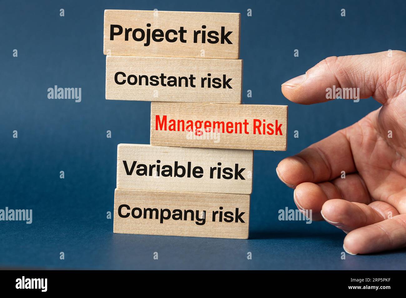 Rischio di gestione, rischio di progetto, società proprietaria, rischio fisso e variabile, scritto su blocchi di legno, concetto di business, controllo del rischio aziendale Foto Stock