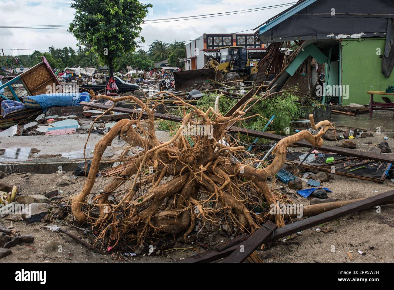 (181224) -- PANDEGLANG, 24 dicembre 2018 --i detriti sono visibili nel distretto di Sumur di Pandeglang, provincia di Banten, in Indonesia, 24 dicembre 2018. Un devastante tsunami innescato da un'eruzione vulcanica in Indonesia ha ucciso 281 persone e ferito altre 1.016 lungo le aree costiere dello stretto di Sunda tra le isole di Giava e Sumatra, ha detto lunedì l'agenzia nazionale per i disastri). INDONESIA-PANDEGLANG-TSUNAMI-AFTERMATH VerixSanovri PUBLICATIONxNOTxINxCHN Foto Stock