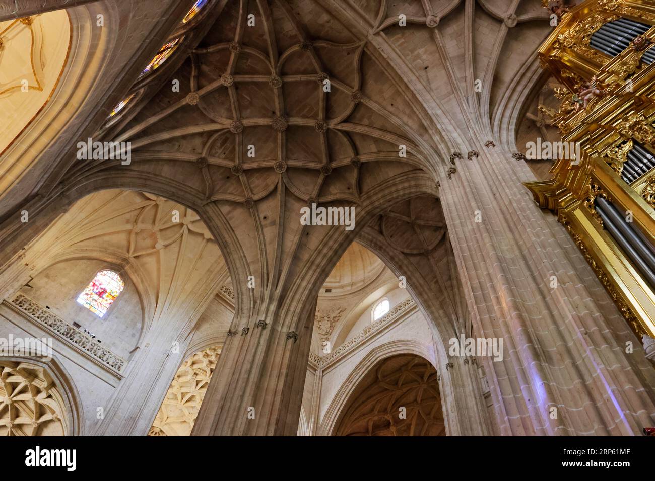 Spettacolare vista interna della cattedrale di Segovia, Spagna Foto Stock