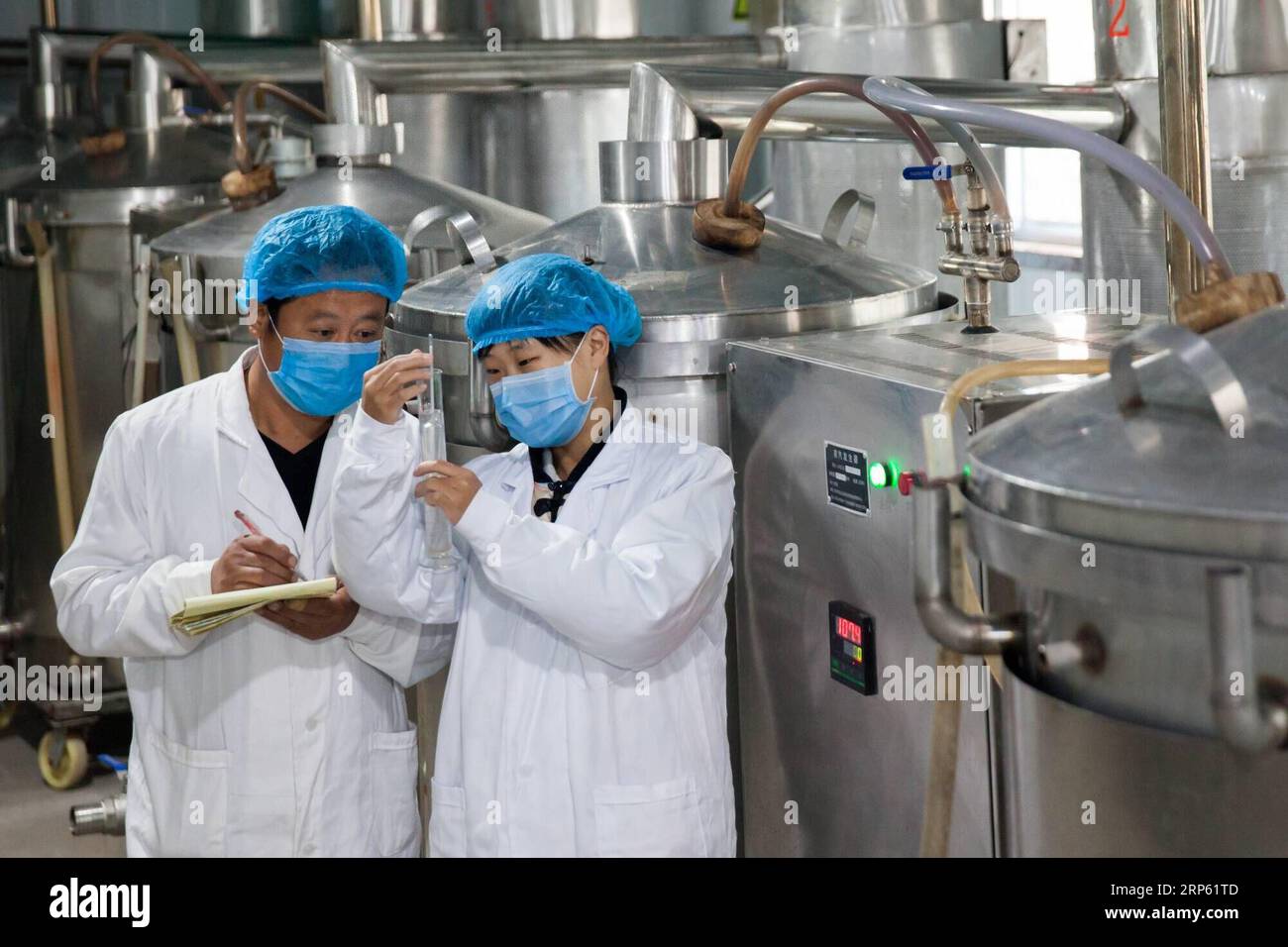(181230) -- PECHINO, 30 dicembre 2018 -- i lavoratori effettuano controlli di qualità sull'alcol di gelso nella contea di Gaoqing, nella provincia dello Shandong della Cina orientale, 12 ottobre 2018. La coltivazione di gelsi e bachi da seta è una pratica agricola di lunga data nella contea di Gaoqing. Oltre a una strategia commerciale orientata al mercato, le autorità locali incoraggiano l'innovazione e la ricerca a sviluppare un'industria legata al gelso verde e sostenibile, che non solo produce foglie di gelso, ma si scopre anche tessuti di seta, tè di foglie di gelso, alcol di gelso, frutti di gelso essiccati e altri prodotti derivati. Chi Foto Stock