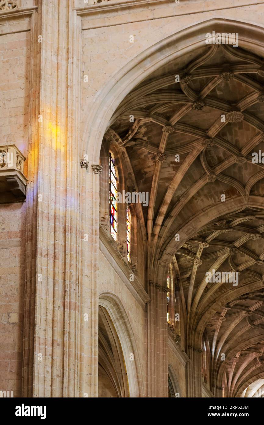 Spettacolare vista interna della cattedrale di Segovia, Spagna Foto Stock