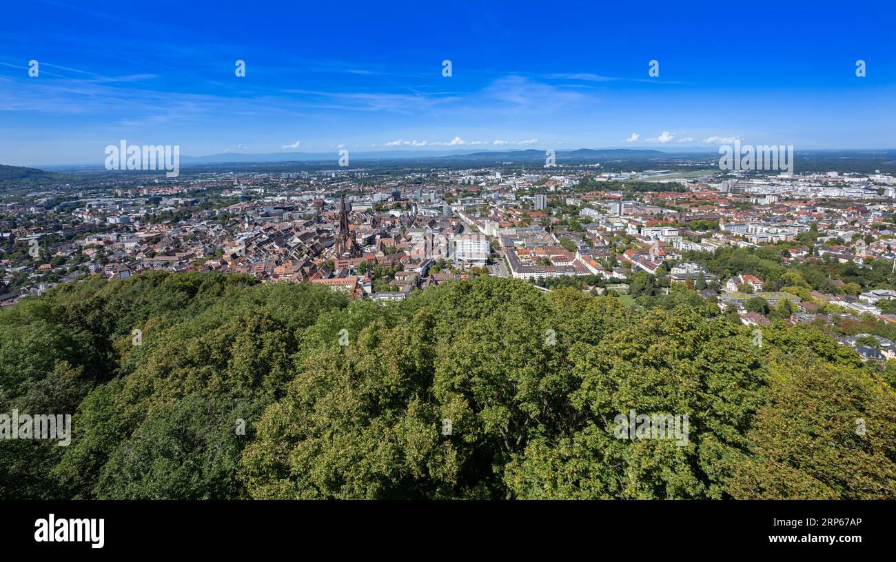 Freiburg im Breisgau. Vista sui tetti della città vecchia con la cattedrale di Friburgo. Baden-Wuerttemberg, Germania, Europa Foto Stock