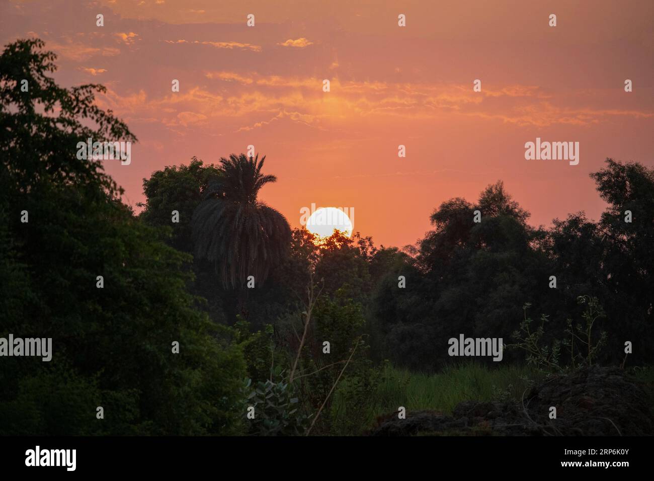 Splendido tramonto arancione vicino alle fattorie di Assuan, Egitto Foto Stock