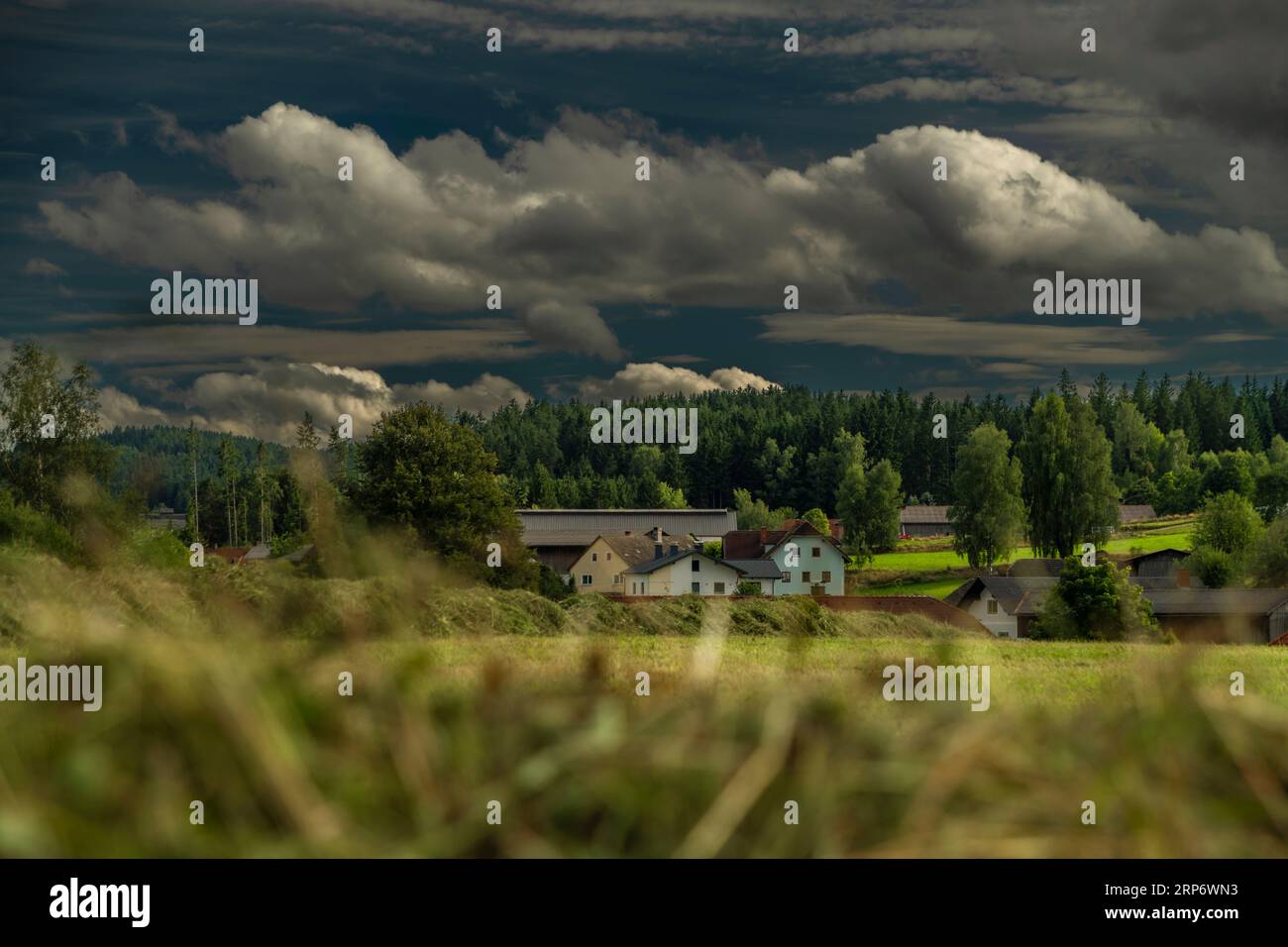 Colora i pascoli e i prati dell'Austria settentrionale con un cielo buio e ventoso Foto Stock