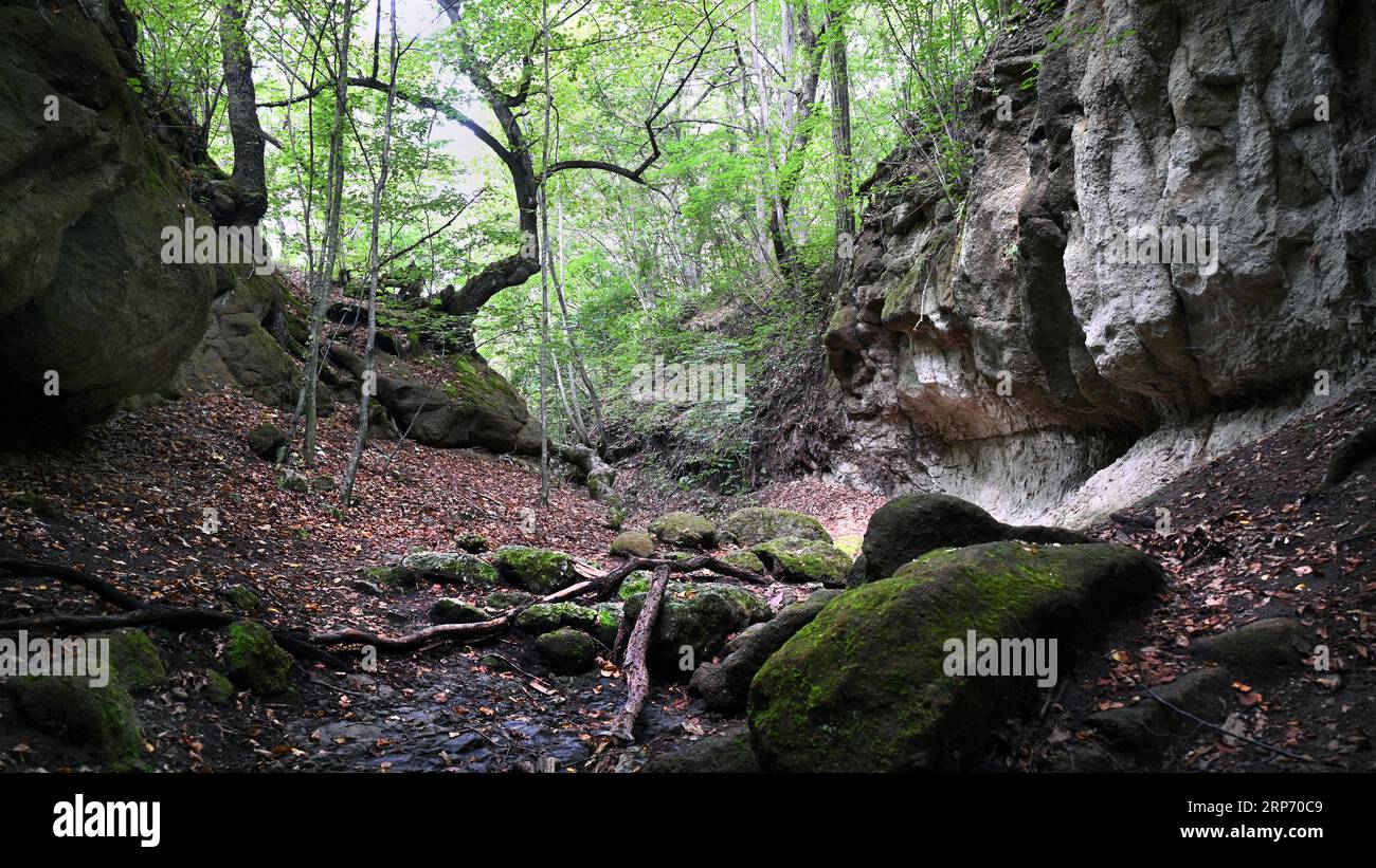 Piccolo dell con rocce nella foresta lussureggiante, chiamato Szent László Hasadék vicino a Mátraverebély Szentkút, in Ungheria, in estate, in formato wide screen Foto Stock