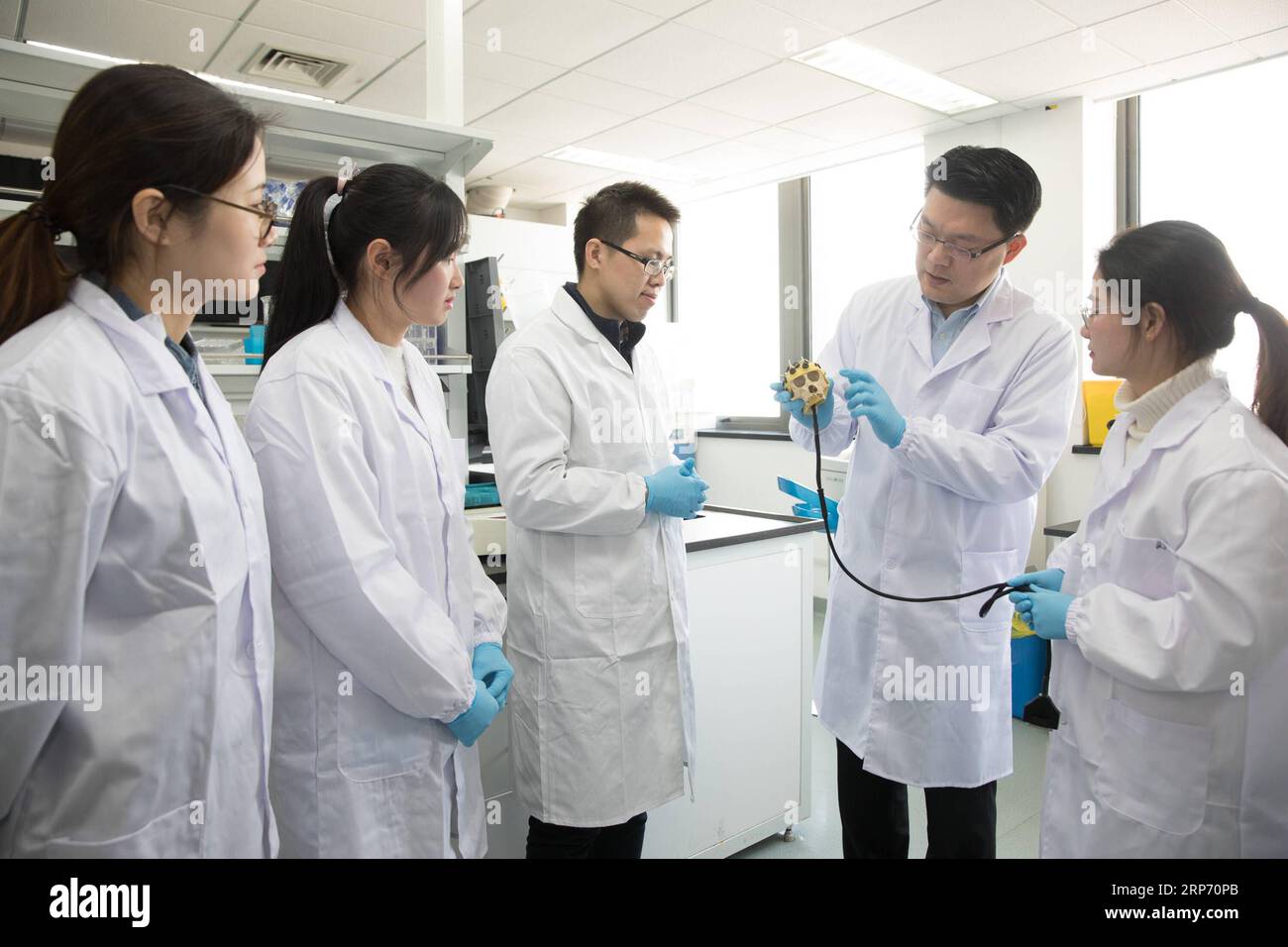 (190124) - SHANGHAI, 24 gennaio 2019 - il ricercatore Zhang Hongjun (2nd R) discute il progetto sperimentale con i membri del suo team in un laboratorio dell'Institute of Neuroscience of Chinese Academy of Sciences a Shanghai, Cina orientale, 22 gennaio 2019. La Cina ha clonato cinque scimmie da un macaco modificato da gene con disturbi del ritmo circadiano, la prima volta che più scimmie sono state clonate da una scimmia modificata da gene per la ricerca biomedica. Gli scienziati hanno fatto l'annuncio giovedì, con due articoli pubblicati su National Science Review, una delle principali riviste cinesi in inglese. Sono nate le scimmie clonate Foto Stock