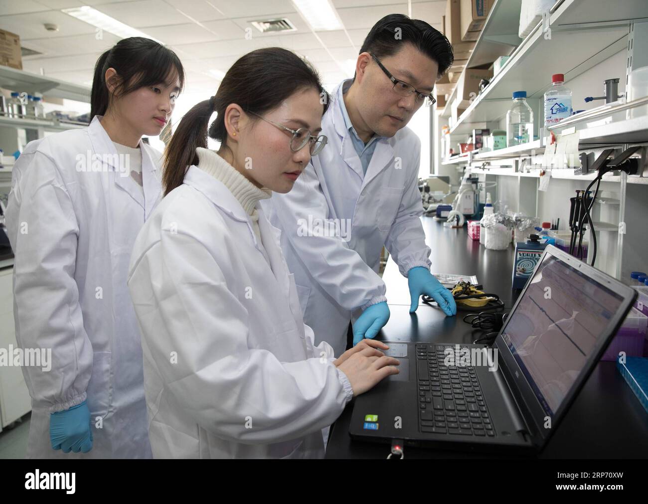 (190124) - SHANGHAI, 24 gennaio 2019 - il ricercatore Zhang Hongjun (R) discute il progetto sperimentale con i membri del suo team in un laboratorio dell'Institute of Neuroscience of Chinese Academy of Sciences a Shanghai, Cina orientale, 22 gennaio 2019. La Cina ha clonato cinque scimmie da un macaco modificato da gene con disturbi del ritmo circadiano, la prima volta che più scimmie sono state clonate da una scimmia modificata da gene per la ricerca biomedica. Gli scienziati hanno fatto l'annuncio giovedì, con due articoli pubblicati su National Science Review, una delle principali riviste cinesi in inglese. Le scimmie clonate sono nate a S. Foto Stock