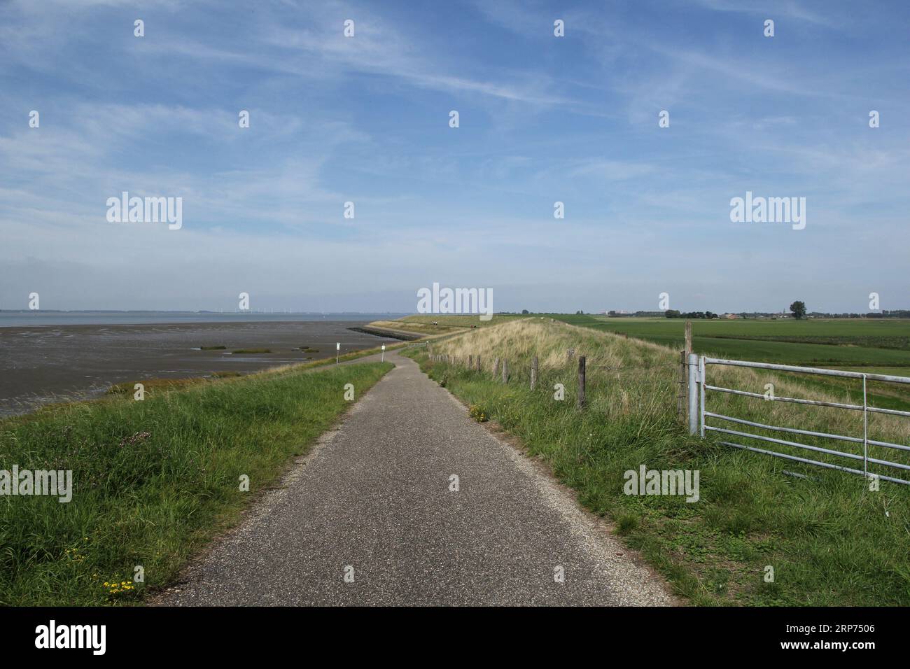 vista aerea dalla strada in cima alla grande diga sulla costa olandese della zelanda lungo il mare di westerschelde con una spiaggia di marea con fango in estate Foto Stock