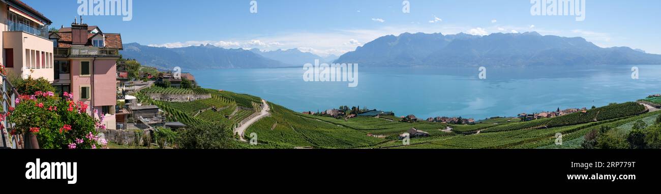 Vista panoramica, vigneti terrazzati Lavaux, Chexbres. Sito patrimonio dell'umanità dell'UNESCO dal 2007 affacciato sul lago di Ginevra nel Cantone di Vaud, Svizzera. Foto Stock
