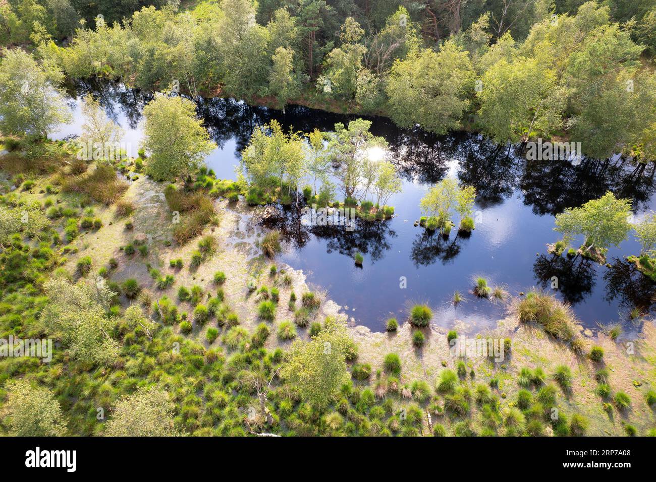 Immagine del drone Bockholter dose, area di paludi riumidificata, riserva naturale Bockholter dose, Emsland, Germania Foto Stock