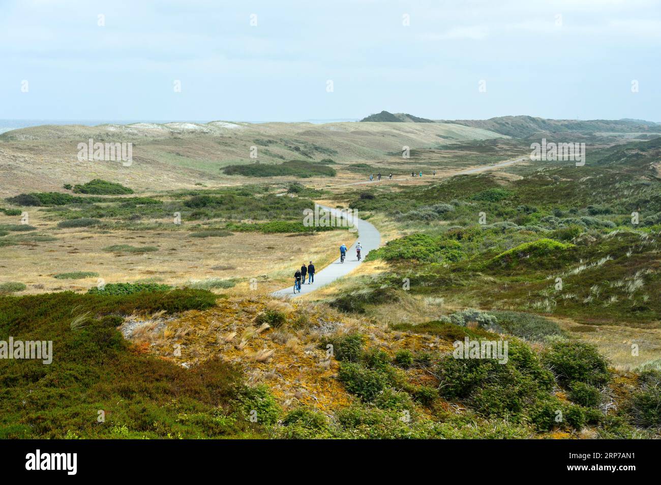 Sentiero ciclabile e escursionistico nell'area delle dune pirolatali, isola di Langeoog nel Mare del Nord, Isole Frisoni orientali, bassa Sassonia, Germania Foto Stock