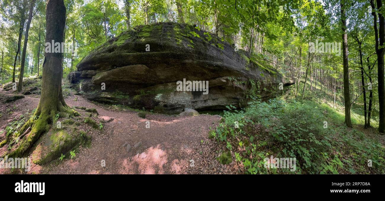 Rocce a cascata, struttura in arenaria, Mont-Saint-Michel, Saint-Jean-Saverne, Bas-Rhin, Parc Regional des Vosges du Nord, Parco naturale Vosges Foto Stock