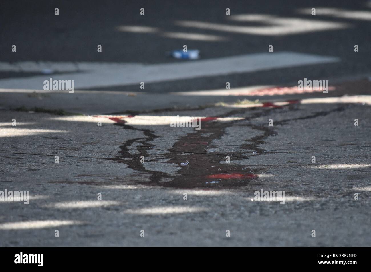 (NOTA DEL REDATTORE: L'immagine contiene un contenuto grafico)il sangue viene visto a terra all'esterno della stazione di servizio BP e delle tazze che coprono le prove a seguito di una sparatoria a Brooklyn. Oggi mattina verso le 4:07 la polizia ha risposto a una chiamata al 911 di un maschio sparato al 1525 di Myrtle Avenue a Brooklyn, New York. Gli agenti hanno trovato un maschio di 33 anni con una ferita d'arma da fuoco alla testa. La vittima è stata trasportata da EMS a NYC Health and Hospitals/Elmhurst dove è stato dichiarato morto. Non ci sono arresti e le indagini sono ancora in corso. (Foto di Kyle Mazza/SOPA Images/Sipa USA) Foto Stock