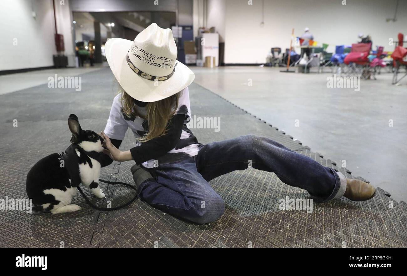 (190305) -- HOUSTON, 5 marzo 2019 -- Una ragazza gioca con il coniglio dopo il Youth Breeding Rabbit and Cavy Costume Contest a Houston, Texas, Stati Uniti, il 4 marzo 2019. Il concorso si è tenuto qui lunedì come parte dello Houston Livestock Show and Rodeo che si è tenuto fino al 17 marzo. ) U.S.-HOUSTON-RABBIT-CAVY-COSTUME CONTEST Yi-ChinxLee PUBLICATIONxNOTxINxCHN Foto Stock