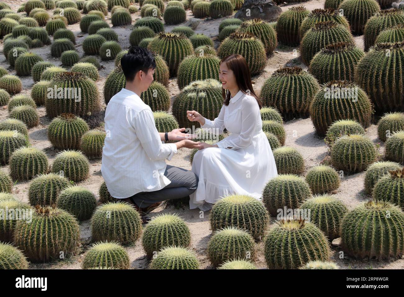 (190316) -- XIAMEN, 16 marzo 2019 -- i visitatori si divertono nel settore delle piante succulente al giardino botanico di Xiamen, nella provincia del Fujian della Cina sudorientale, il 16 marzo 2019. ) CHINA-FUJIAN-XIAMEN-SUCCULENTE PLANTS (CN) ZENGXDEMENG PUBLICATIONXNOTXINXCHN Foto Stock