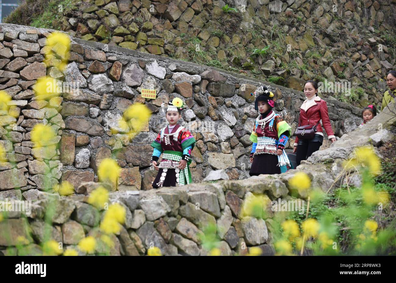 (190316) -- DANZHAI, 16 marzo 2019 (Xinhua) -- ragazze del gruppo etnico Miao capo per la celebrazione annuale del Fangu Drumming Festival, al villaggio di Qingjiang, nella contea di Danzhai, nella provincia di Guizhou della Cina sud-occidentale, 16 marzo 2019. Il Fangu Drumming Festival, un tradizionale festival locale con una storia di quasi 600 anni, offre balli con tamburi di legno, combattimento con tori, canti d'amore antifonali e altre forme d'arte popolare tradizionali. (Xinhua/Yang Wenbin) CHINA-GUIZHOU-ETNICO MIAO-FANGU FESTIVAL-DUMMING CELEBRATION(CN) PUBLICATIONxNOTxINxCHN Foto Stock