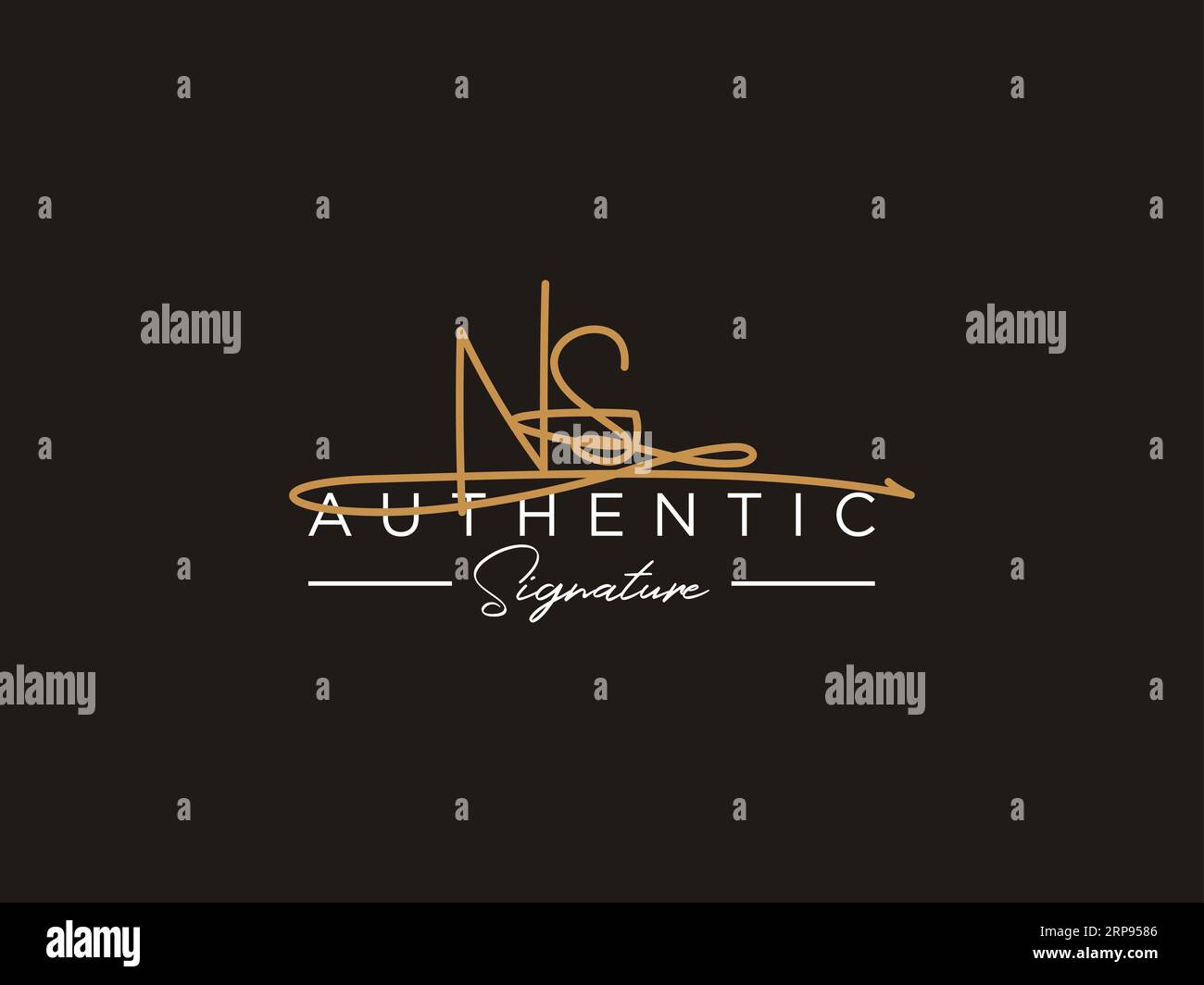 Vettore modello logo firma NS. Illustrazione Vettoriale