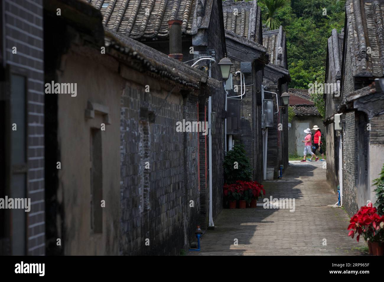 (190326) -- BOAO, 26 marzo 2019 (Xinhua) -- le persone visitano il villaggio di Nanqiang nella città di Boao, nella città di Qionghai, nella provincia di Hainan nel sud della Cina. La città di Qionghai ha accelerato i suoi passi verso la costruzione di bellissimi villaggi, applicando piani diversi a seconda delle condizioni locali. Finora ha sviluppato 2.343 villaggi civili ed ecologici, che rappresentano il 88,6% dei villaggi naturali della città. (Xinhua/Hou Dongtao) CHINA-BOAO-VILLAGE-SPRING SCENOGRAFIA (CN) PUBLICATIONxNOTxINxCHN Foto Stock