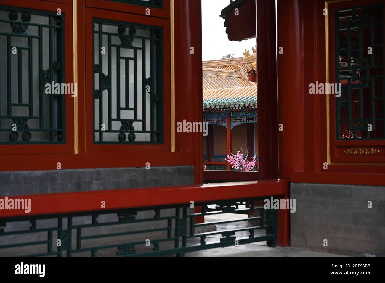 (190328) -- PECHINO, 28 marzo 2019 (Xinhua) -- foto scattata il 28 marzo 2019 mostra fiori in fiore nel Museo del Palazzo di Pechino, capitale della Cina. (Xinhua/Jin Liangkuai) (InPalaceMuseum)CHINA-BEIJING-PALACE MUSEUM-FLOWERS (CN) PUBLICATIONxNOTxINxCHN Foto Stock