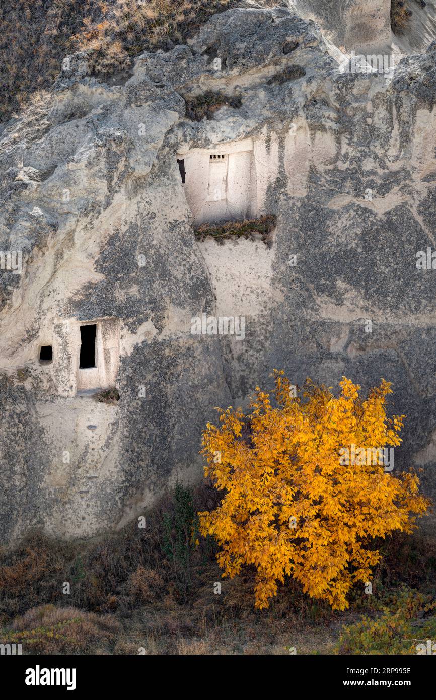 Formazioni rocciose "camini delle fate" nella città di Göreme, Cappadocia, Turchia Foto Stock