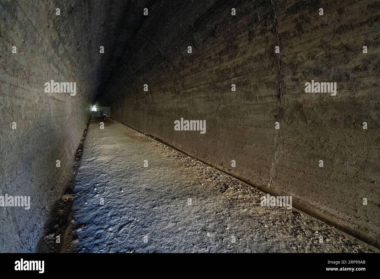 Interno del tunnel ferroviario di Muntapa, patrimonio dell'umanità, Highgrove, regione di Toowoomba, Queensland Foto Stock