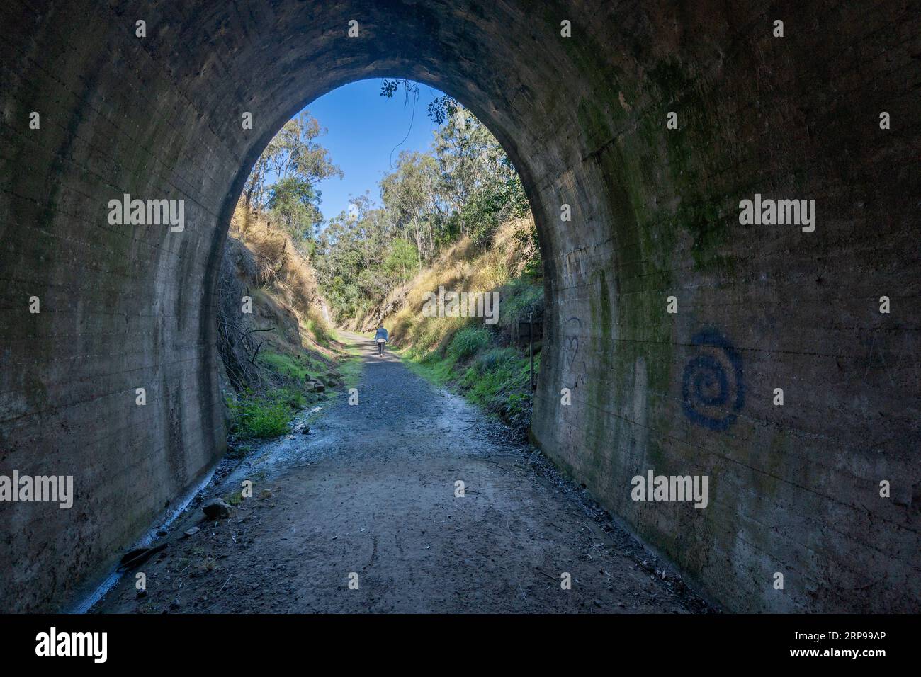 Affacciato sull'entrata occidentale del tunnel ferroviario di Muntapa, Highgrove, regione di Toowoomba, Queensland Foto Stock