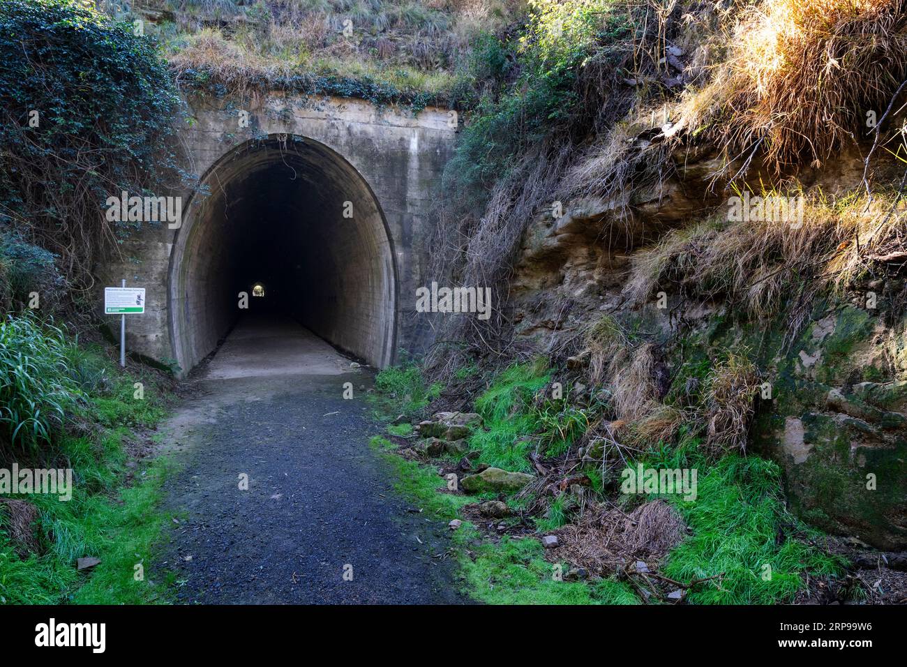Ingresso occidentale al tunnel ferroviario di Muntapa, Highgrove, regione di Toowoomba, Queensland Foto Stock