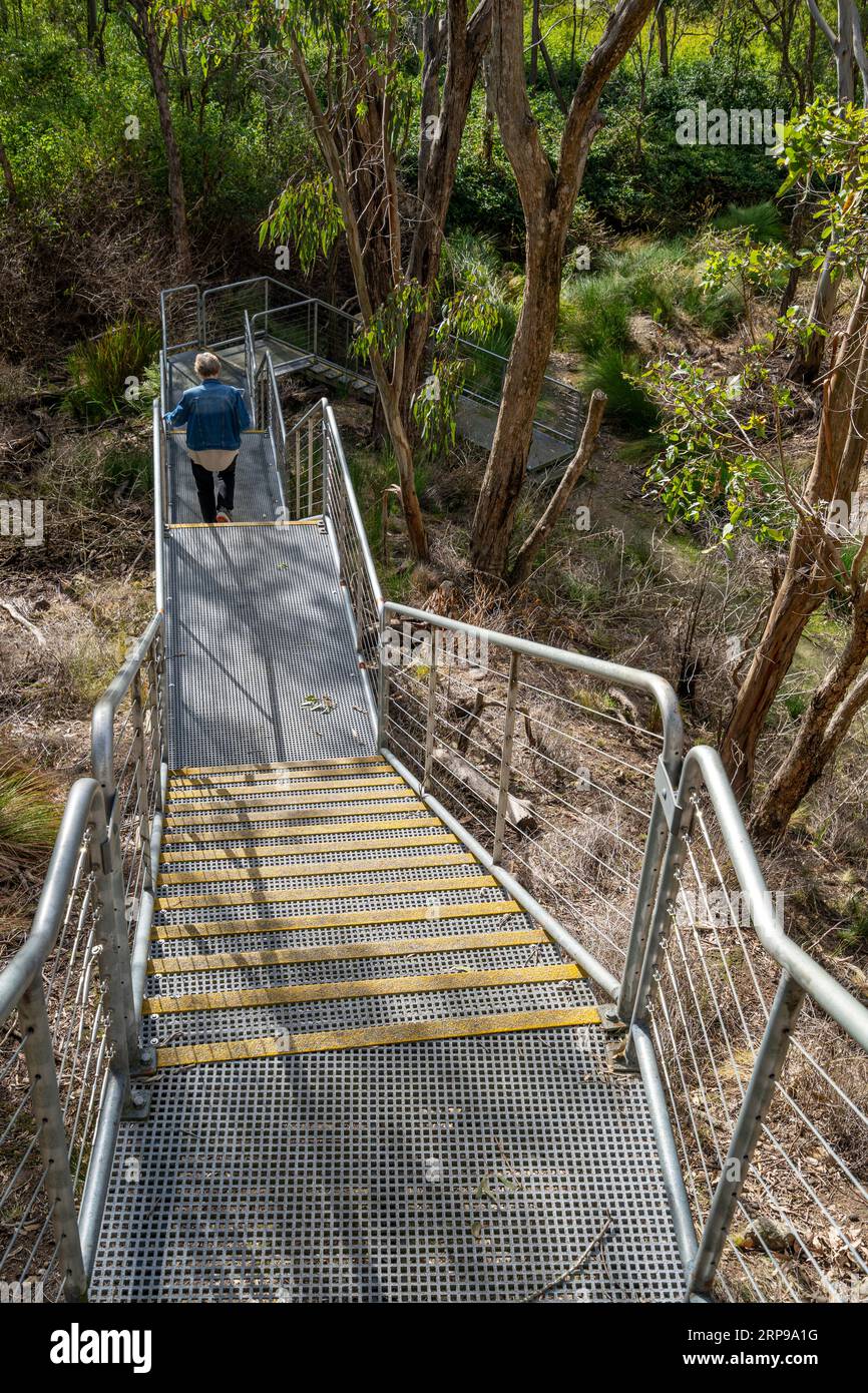 Scale che danno accesso all'ingresso orientale del tunnel ferroviario di Muntapa, patrimonio dell'umanità, Highgrove, regione di Toowoomba, Queensland Foto Stock
