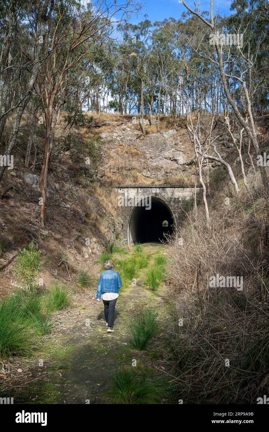 Ingresso orientale del tunnel ferroviario di Muntapa, patrimonio dell'umanità, Highgrove, regione di Toowoomba, Queensland Foto Stock