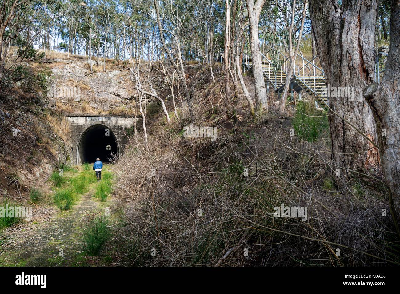 Ingresso orientale del tunnel ferroviario di Muntapa, patrimonio dell'umanità, Highgrove, regione di Toowoomba, Queensland Foto Stock