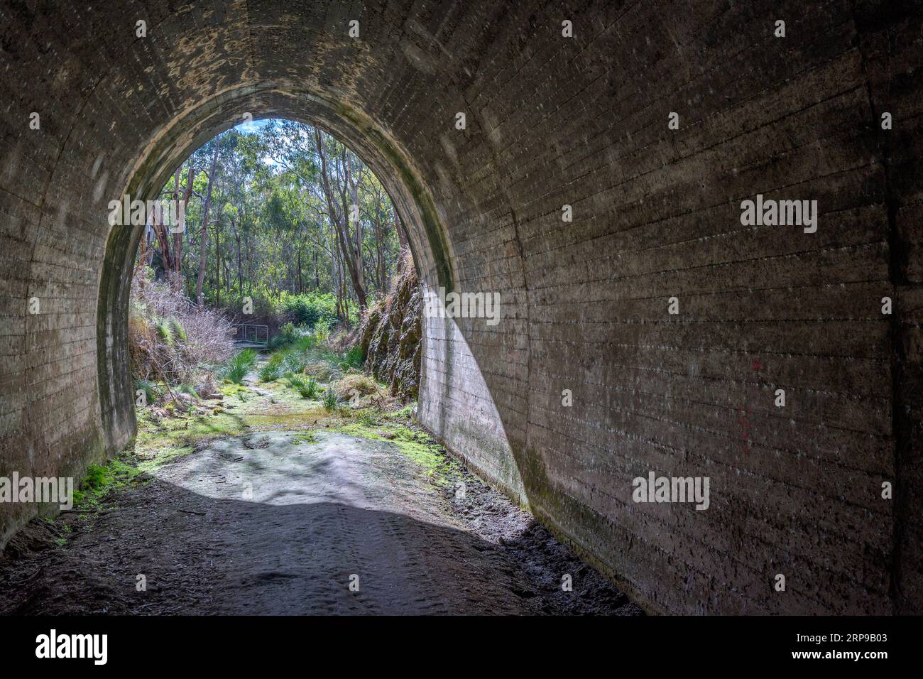 Guardando verso l'esterno dall'ingresso orientale del tunnel ferroviario di Muntapa, patrimonio dell'umanità, Highgrove, regione di Toowoomba, Queensland Foto Stock