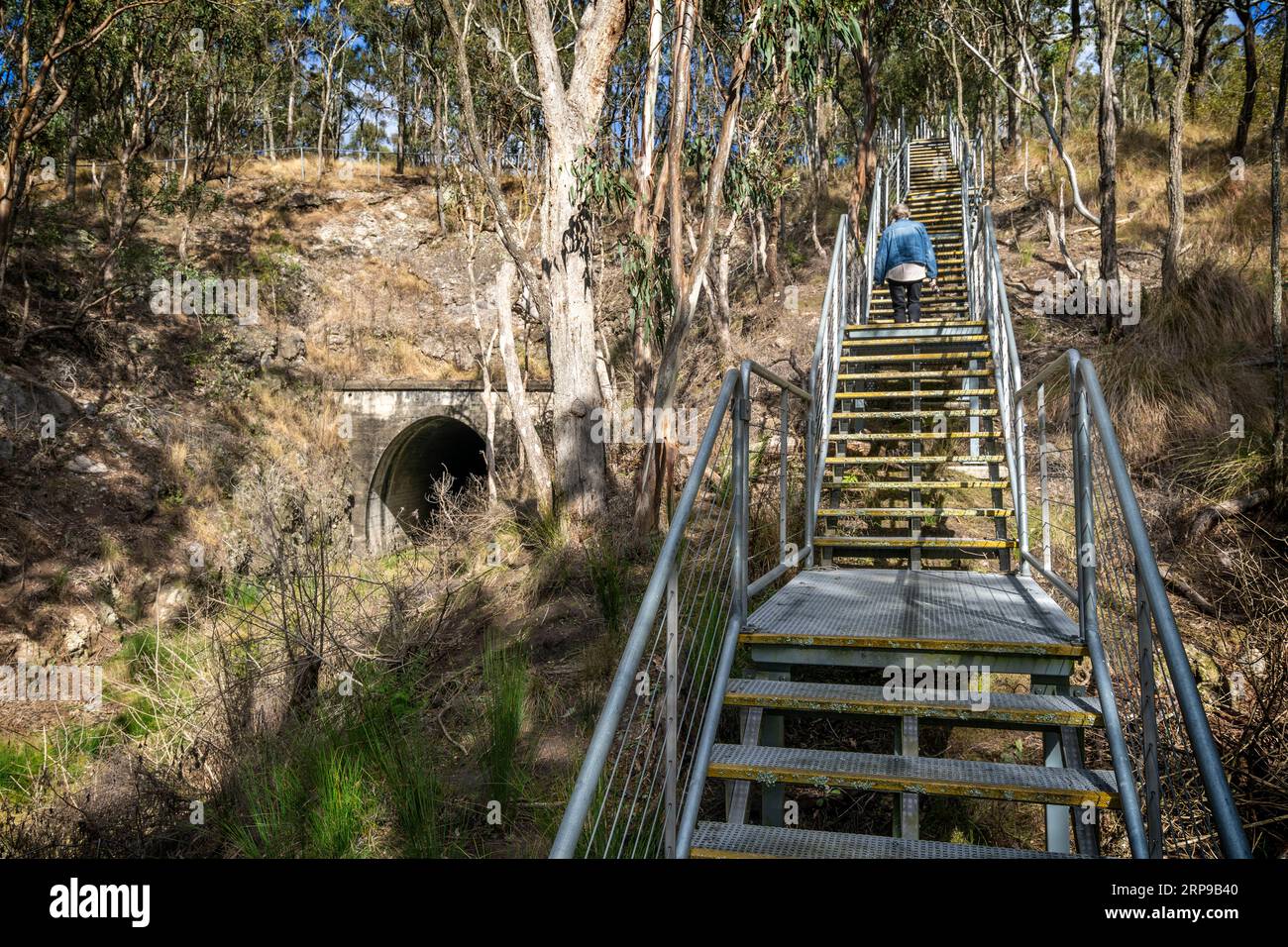 Scale che danno accesso all'ingresso orientale del tunnel ferroviario di Muntapa, patrimonio dell'umanità, Highgrove, regione di Toowoomba, Queensland Foto Stock