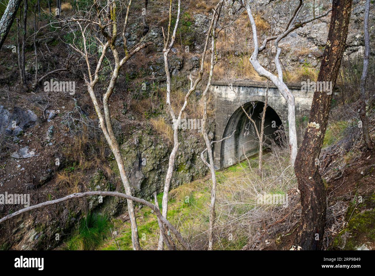 Ingresso orientale del tunnel ferroviario di Muntapa, patrimonio dell'umanità, Highgrove, regione di Toowoomba, Queensland Foto Stock