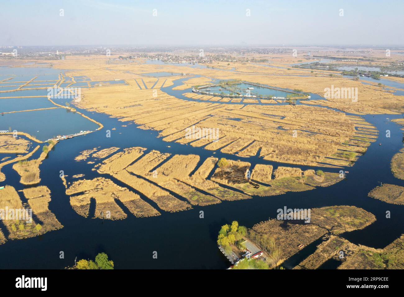 (190402) -- XIONG AN, 2 aprile 2019 (Xinhua) -- foto aerea scattata il 31 marzo 2019 mostra il lago Baiyangdian nella nuova area di Xiongan, nella provincia di Hebei nella Cina settentrionale. Il 1 aprile 2017, la Cina annunciò i piani per la creazione della nuova area di Xiongan, a circa 100 km a sud-ovest di Pechino. Conosciuta come la città del futuro della Cina, Xiongan è stata progettata per diventare una zona di innovazione, una città digitale sincronizzata con quella mattonella e un'area vivibile e adatta agli affari. (Xinhua/Xing Guangli) CHINA-XIONGAN NEW AREA-ANNIVERSARY-AERIAL VIEW (CN) PUBLICATIONxNOTxINxCHN Foto Stock