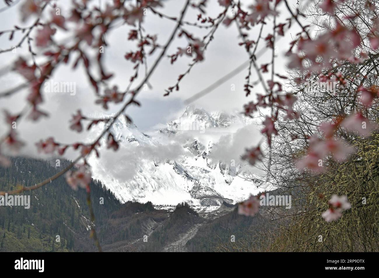 (190404) -- PECHINO, 4 aprile 2019 -- foto scattata il 3 aprile 2019 mostra una vista nella contea di Bomi, nella regione autonoma del Tibet del sud-ovest della Cina. ) XINHUA FOTO DEL GIORNO LixXin PUBLICATIONxNOTxINxCHN Foto Stock